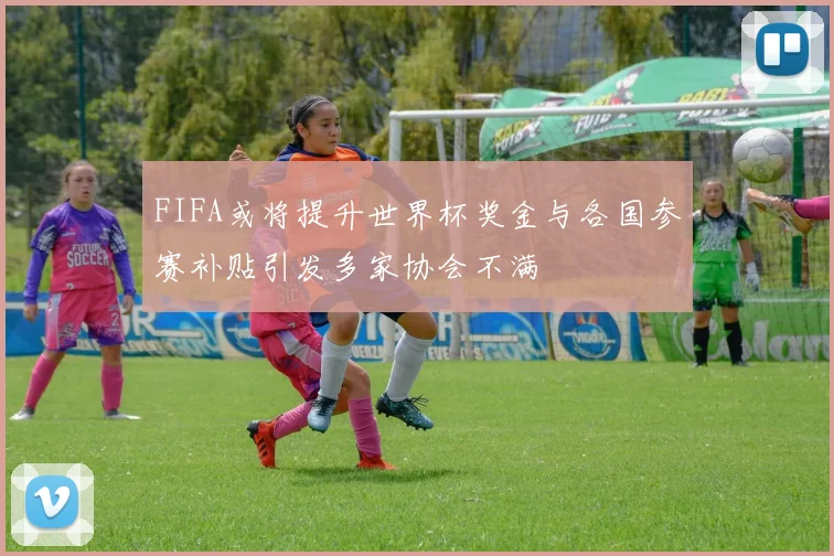 FIFA或将提升世界杯奖金与各国参赛补贴引发多家协会不满
